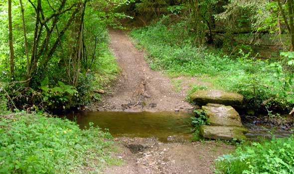 trail across stream, France, 2005