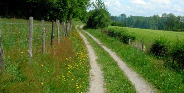 GR trail, France, 2005