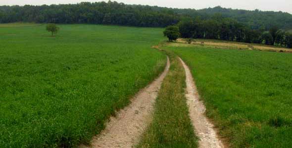 South from Bergerac