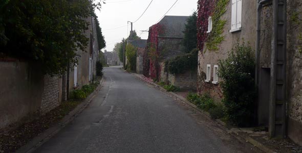 Autumn vines, Baudreville, France, 2007