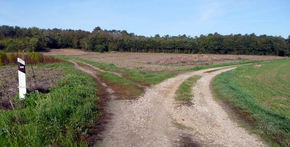 deciphering the road to Drache, France, 2007