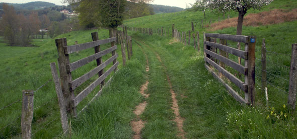 On the trail from Lyon to Le-Puy, France 2009