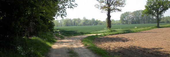 Trail junction on the path from Lyon to Le-Puy, France 2009