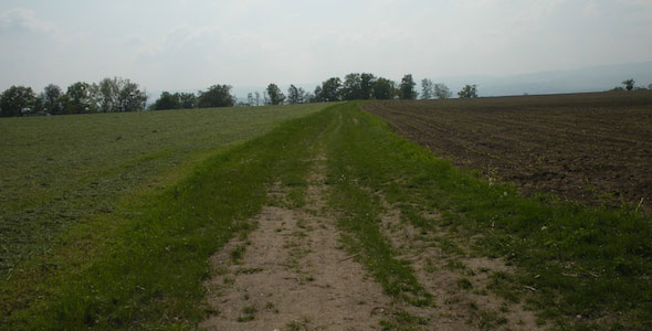 Path from Lyon to Le Puy, France 2009