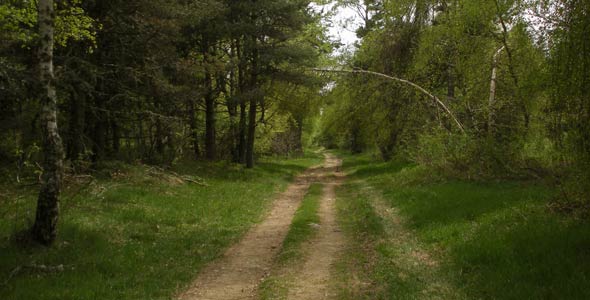 approaching Saint-Alban, chemin du puy, france, 2009 