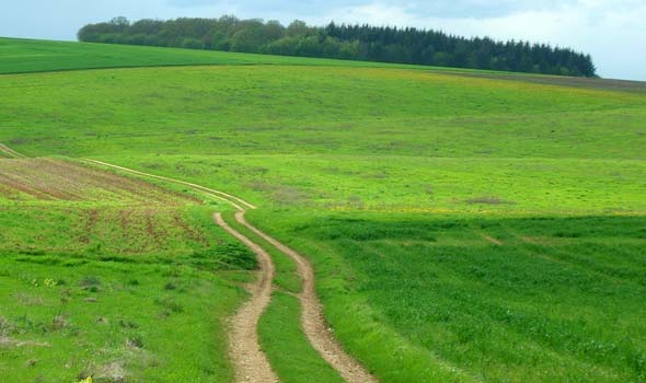 The French Grande Randonnee GR 654 walking across France...through seas of green with islands of ancient trees...