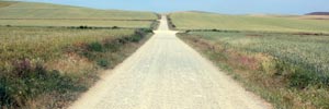 Camino de Santiago, across the wide meseta