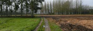 longwalking-French trail along the Loire River