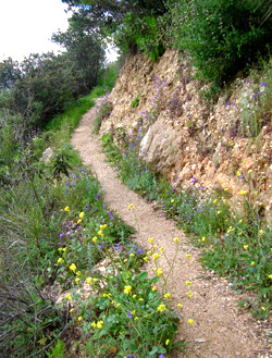 in the foothills of the angeles crest